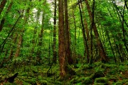 世界沙滩排球巡回赛厦门站 中国组合斩获本站冠军，2020年全国沙滩排球冠军赛