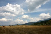 世界短道速滑全国青少年冬训计划发布，2021年短道速滑比赛